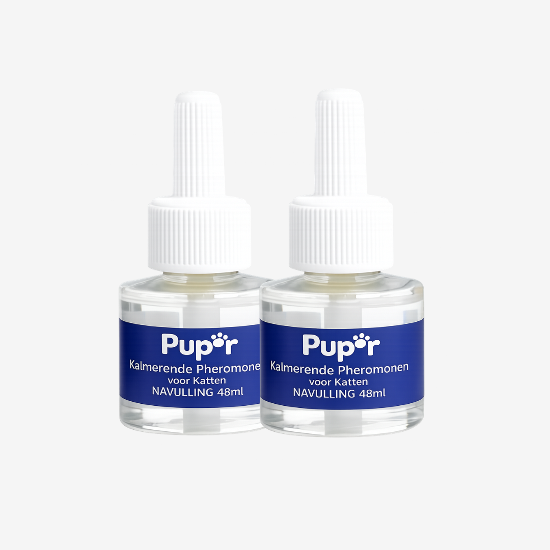 Cat Diffuse Refill