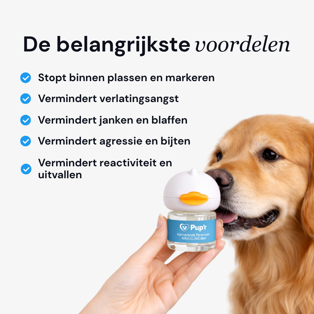 Calming Dog Diffuser
