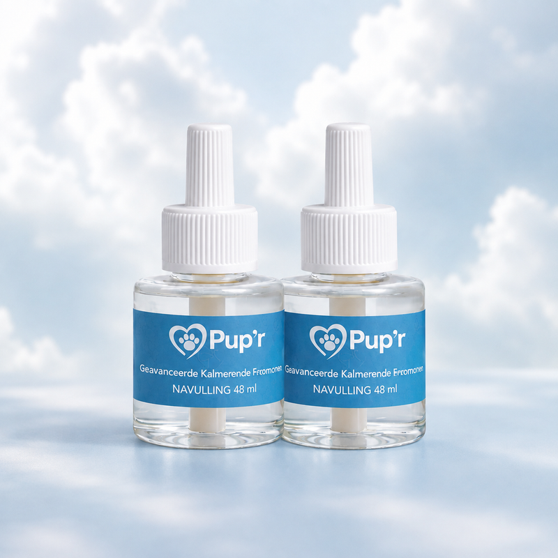 Recharge diffuseur pour chien