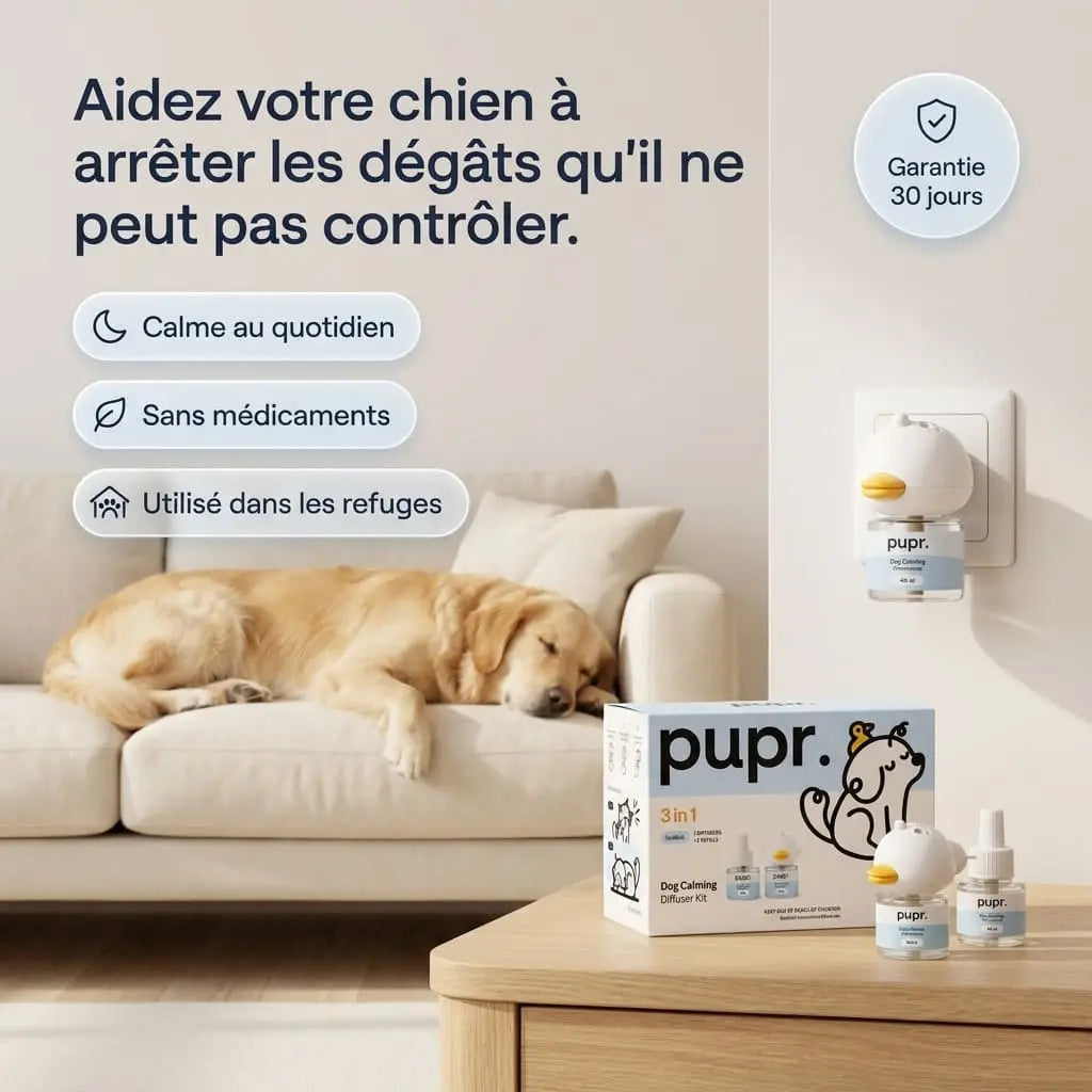 Diffuseur apaisant pour chiens