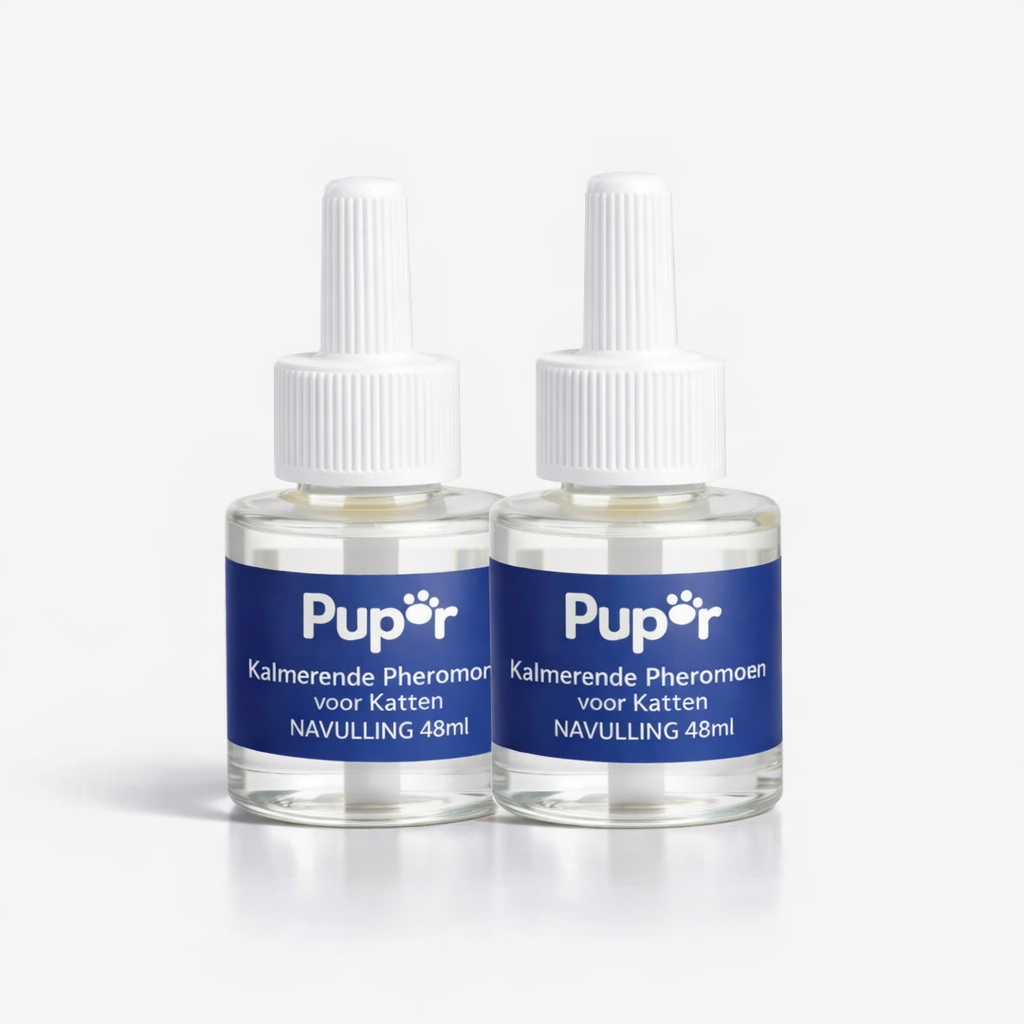 Cat Diffuser Refill 2st